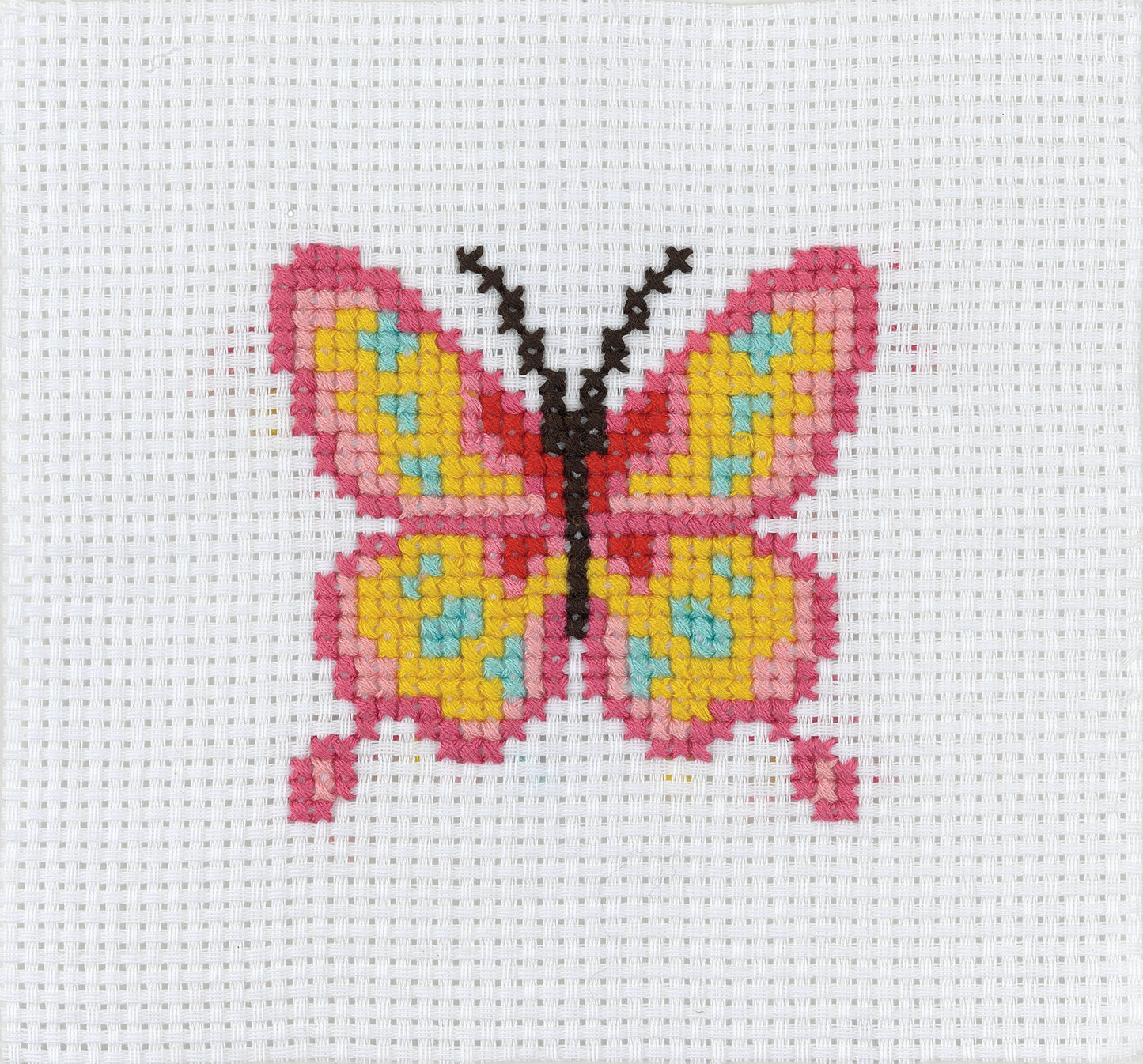 1st Kit, Cross Stitch, Butterfly