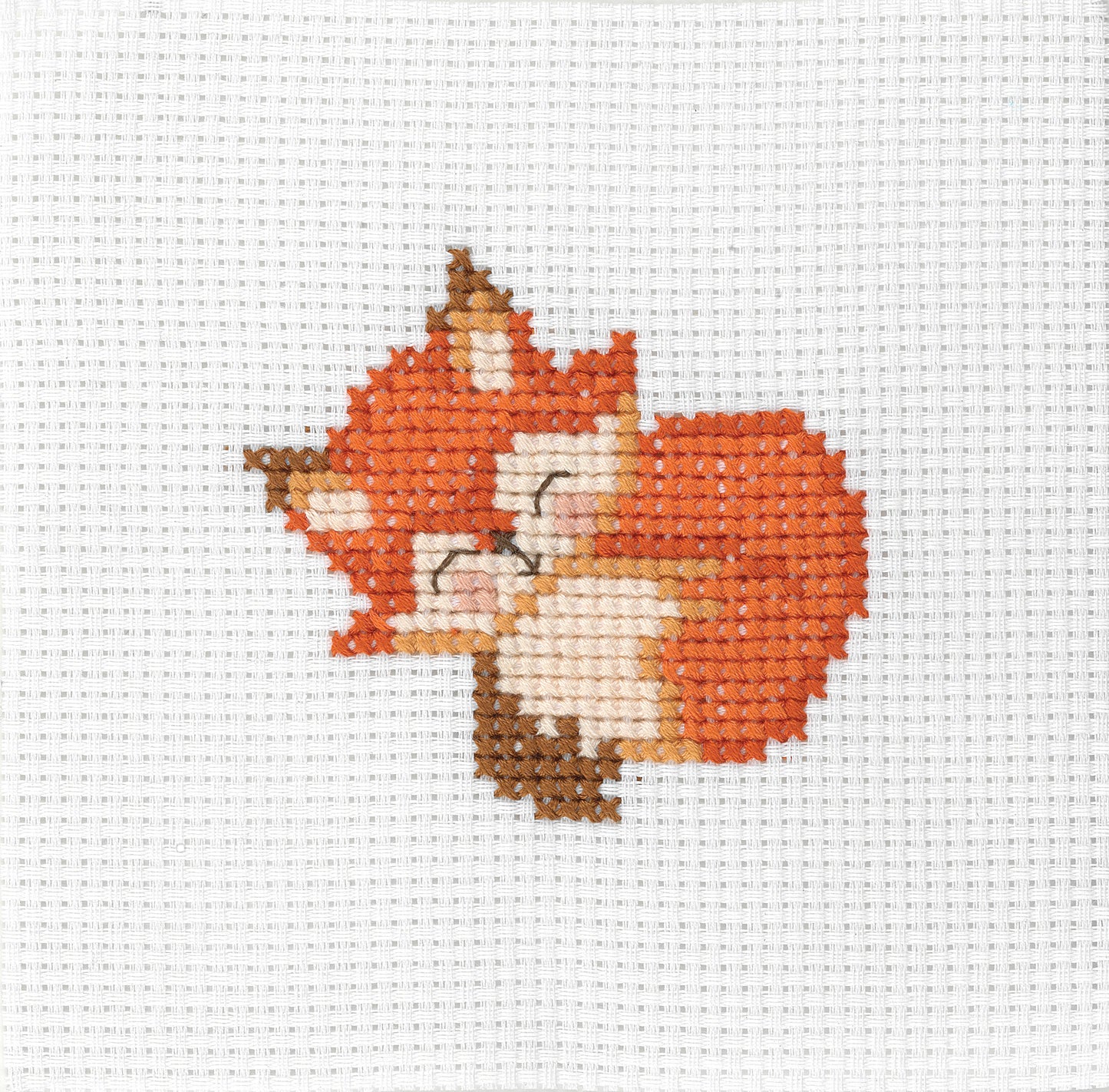 1st Kit, Cross Stitch, Fox